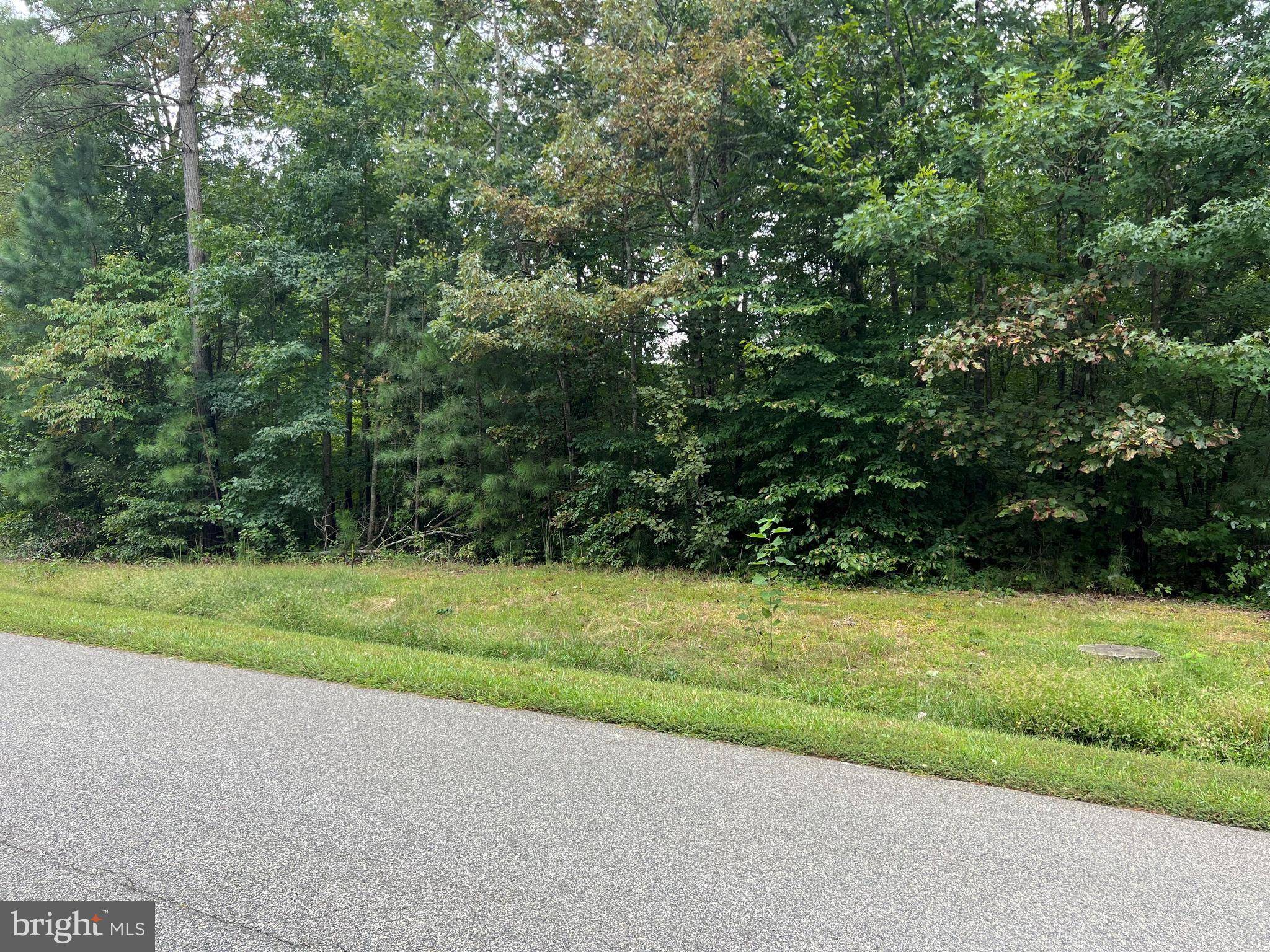 Bumpass, VA 23024,LOT 84 NOAH'S LANDING DRIVE
