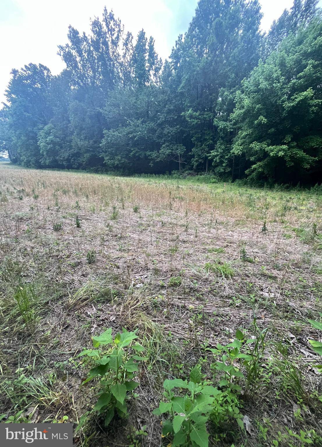 King George, VA 22485,LOT 9 SALEM CHURCH RD