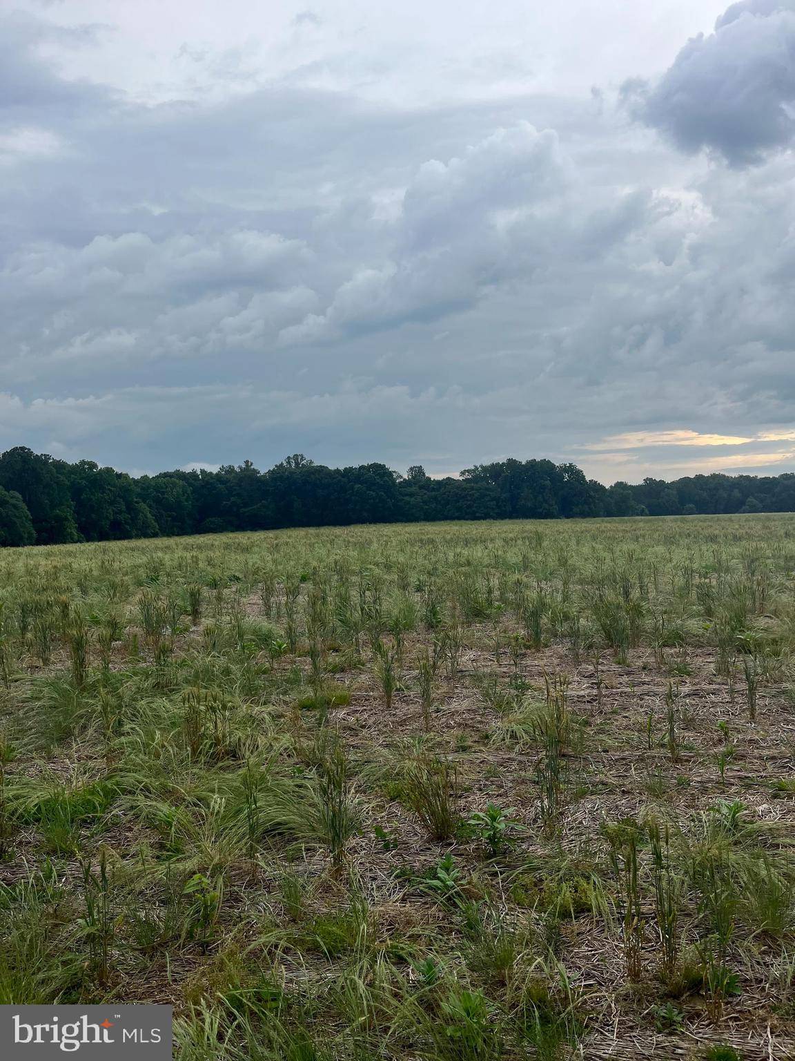 King George, VA 22485,LOT 9 SALEM CHURCH RD