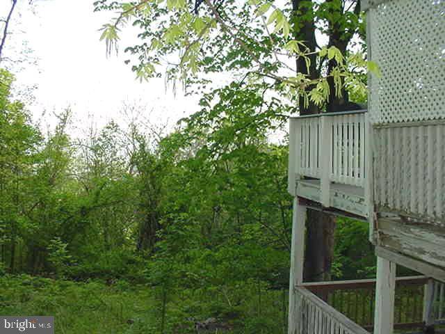 Linden, VA 22642,4607 BLUE MOUNTAIN RD