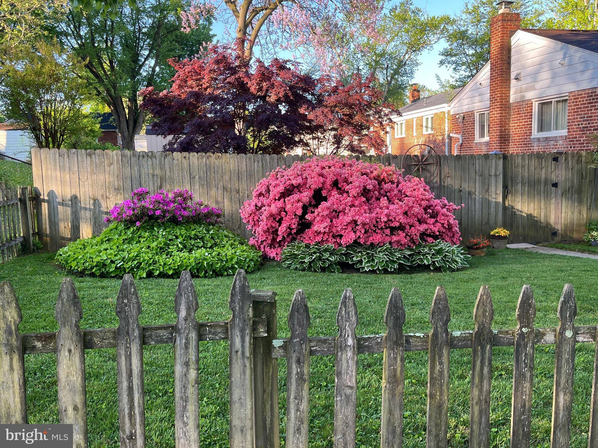Wheaton, MD 20902,2820 HARRIS AVE