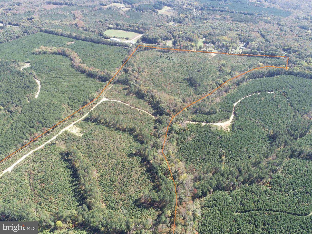 Cumberland, VA 23040,CUMBERLAND ROAD (RT. 45) (TRACT: GUINEA MILLS-2)
