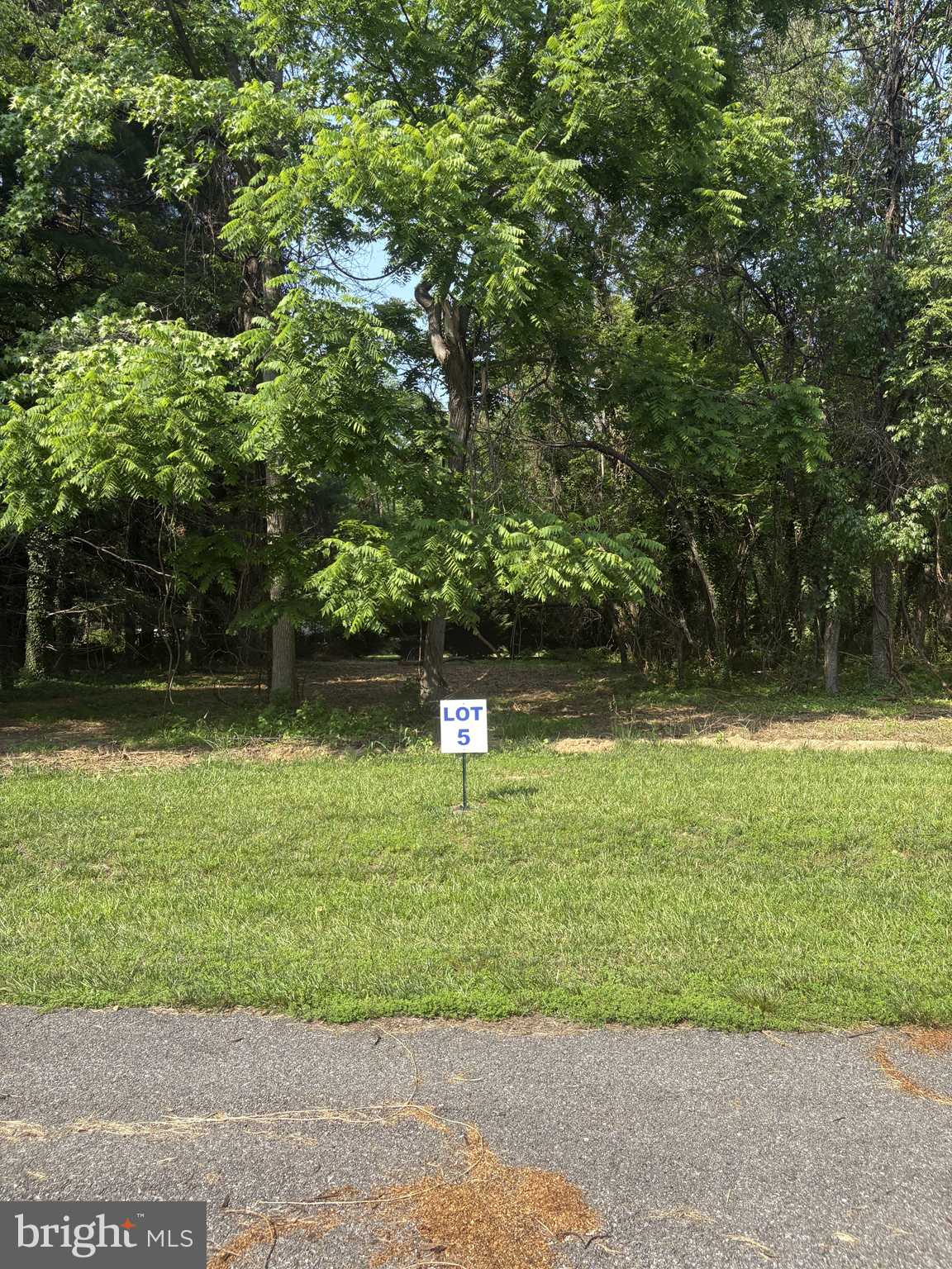 Galena, MD 21635,5 WILSON POINT RD
