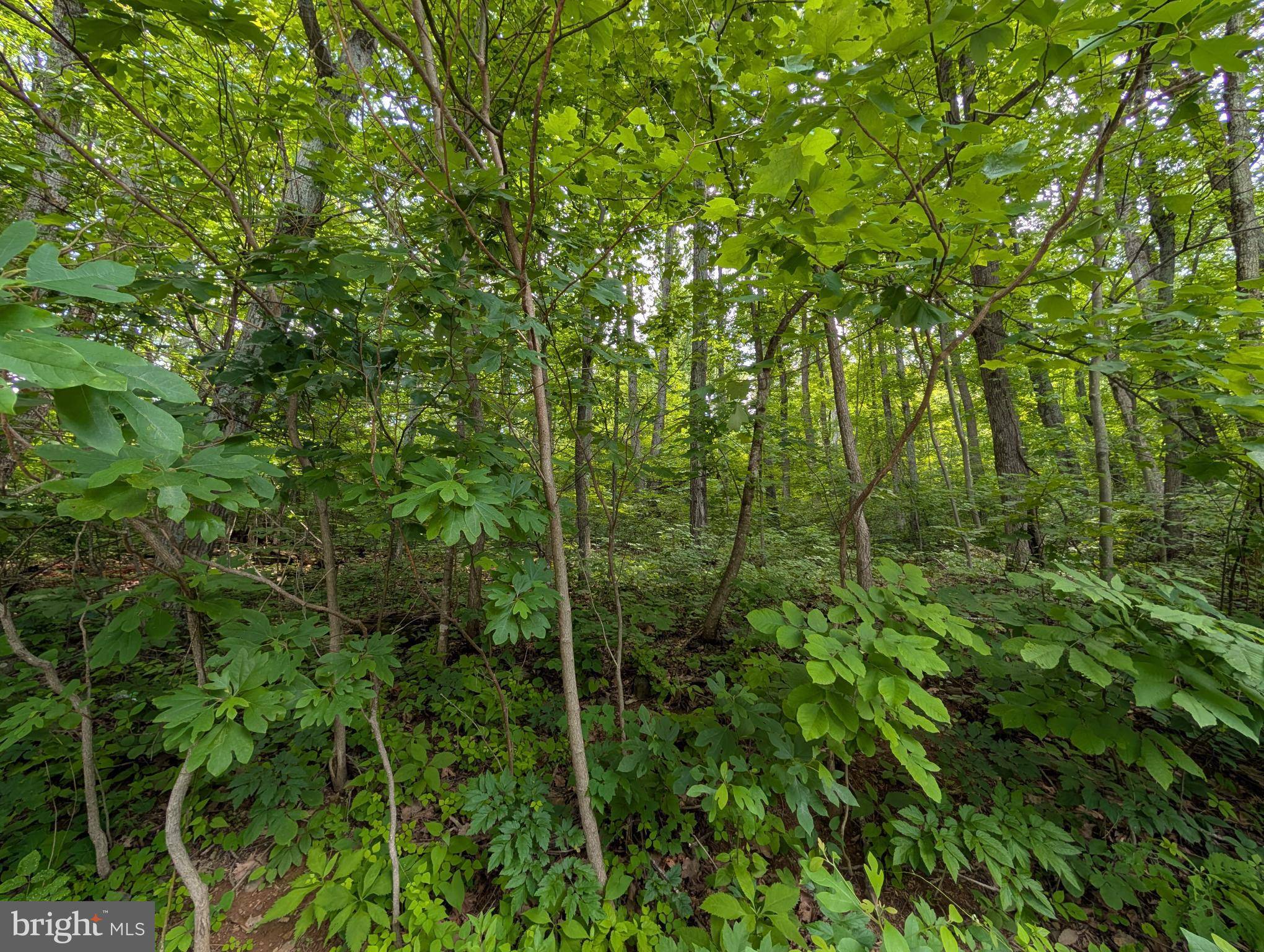 Front Royal, VA 22630,LOT 106 BLUEBIRD WAY