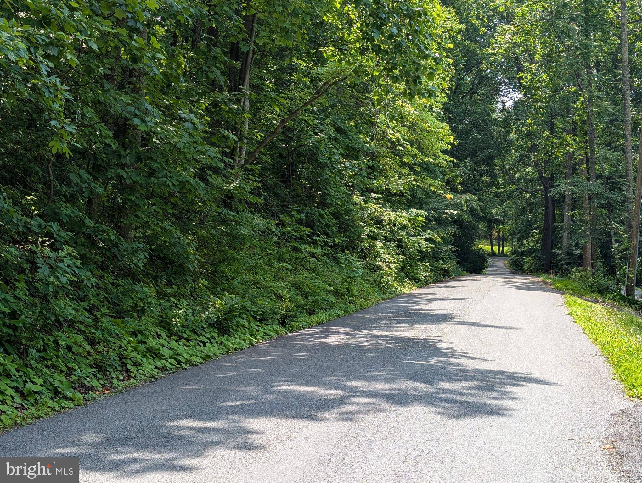 Front Royal, VA 22630,LOT 106 BLUEBIRD WAY