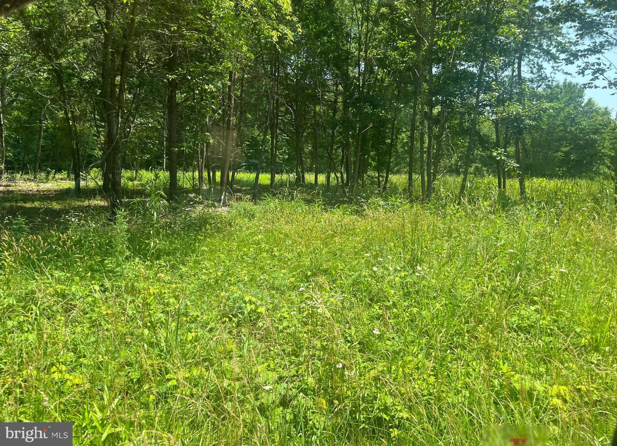Bumpass, VA 23024,LOT 1 KENTUCKY SPRINGS RD