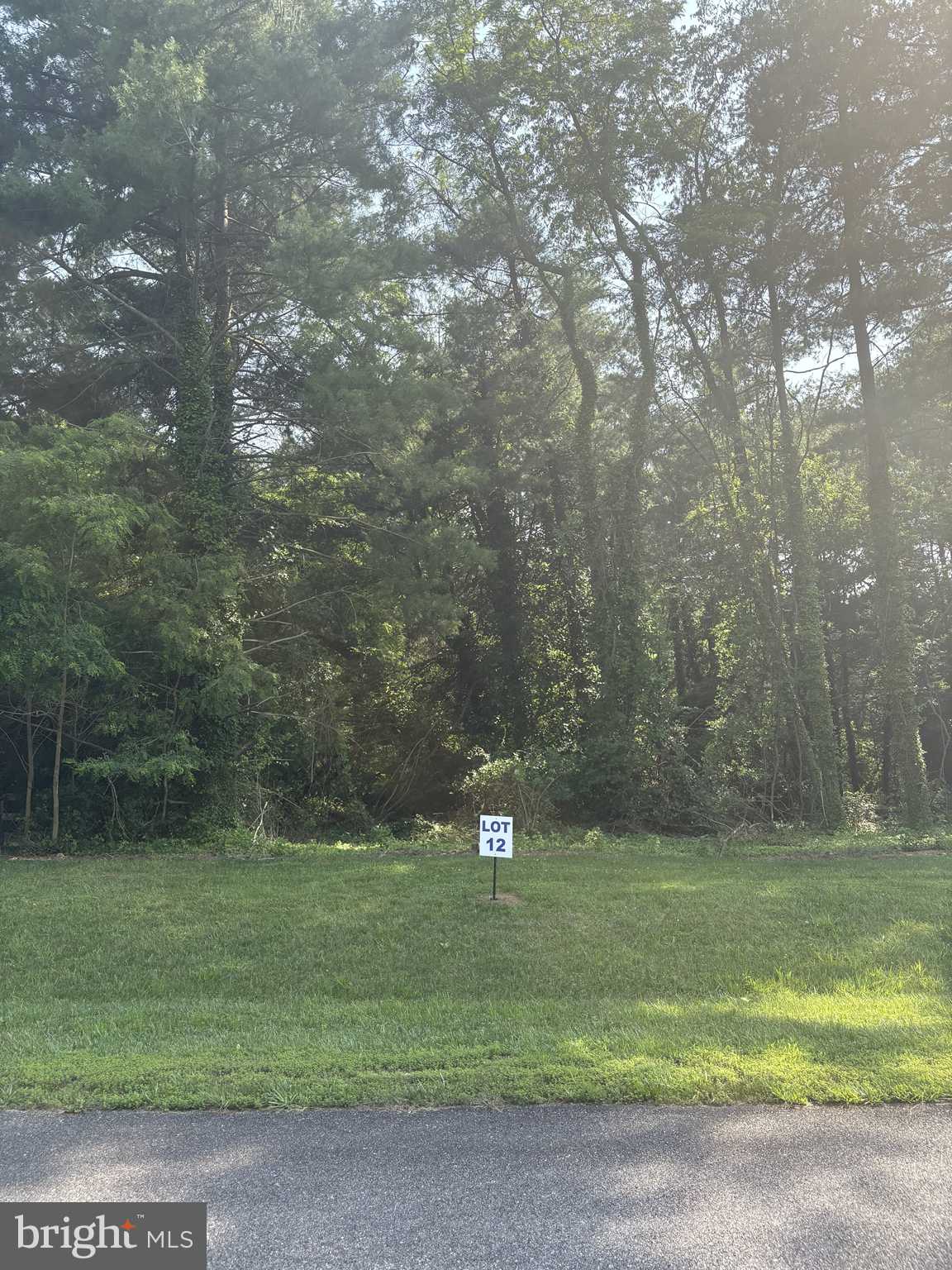 Galena, MD 21635,12 WILSON POINT RD