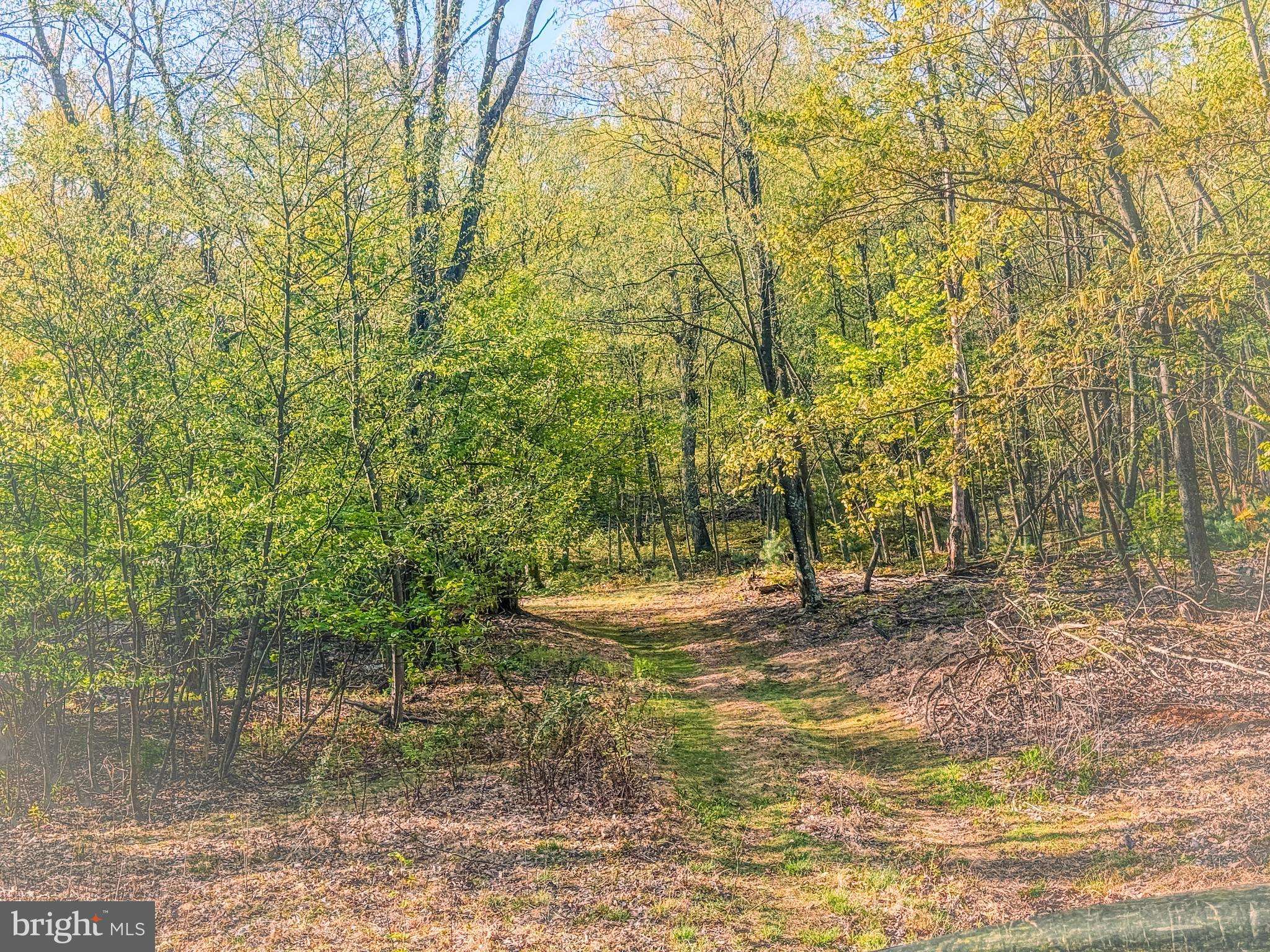 Landisburg, PA 17040,0-LOT #2 CORNMAN LN