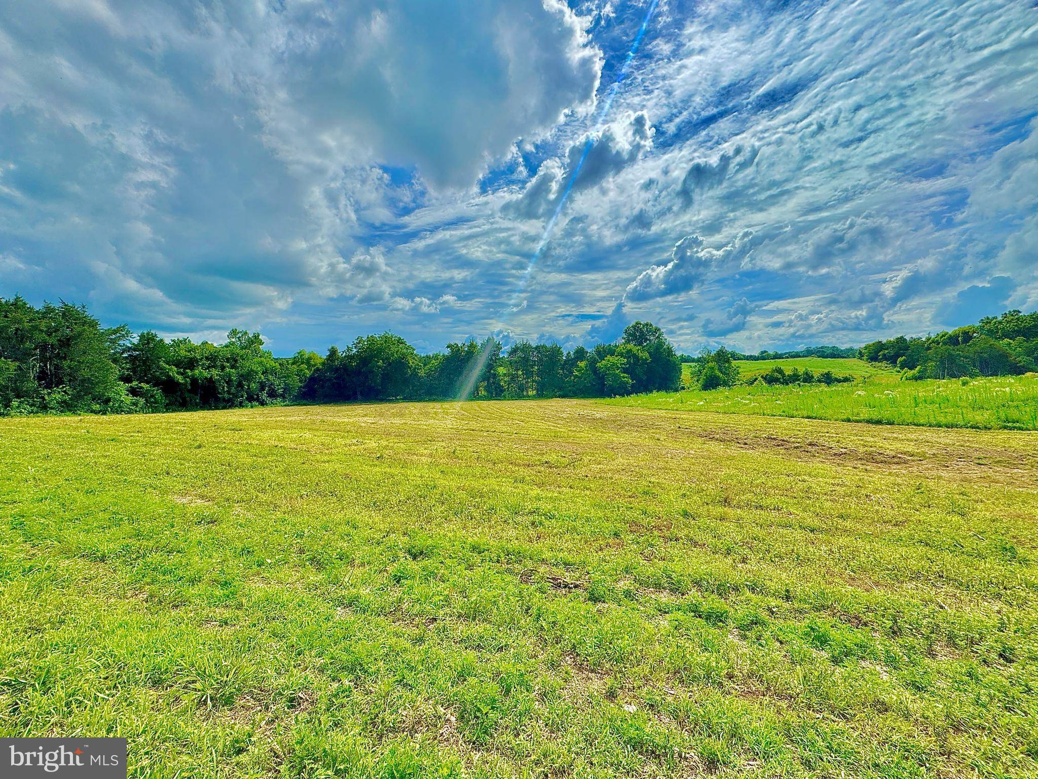 Unionville, VA 22567,LOT 9 ZACHARY TAYLOR HWY
