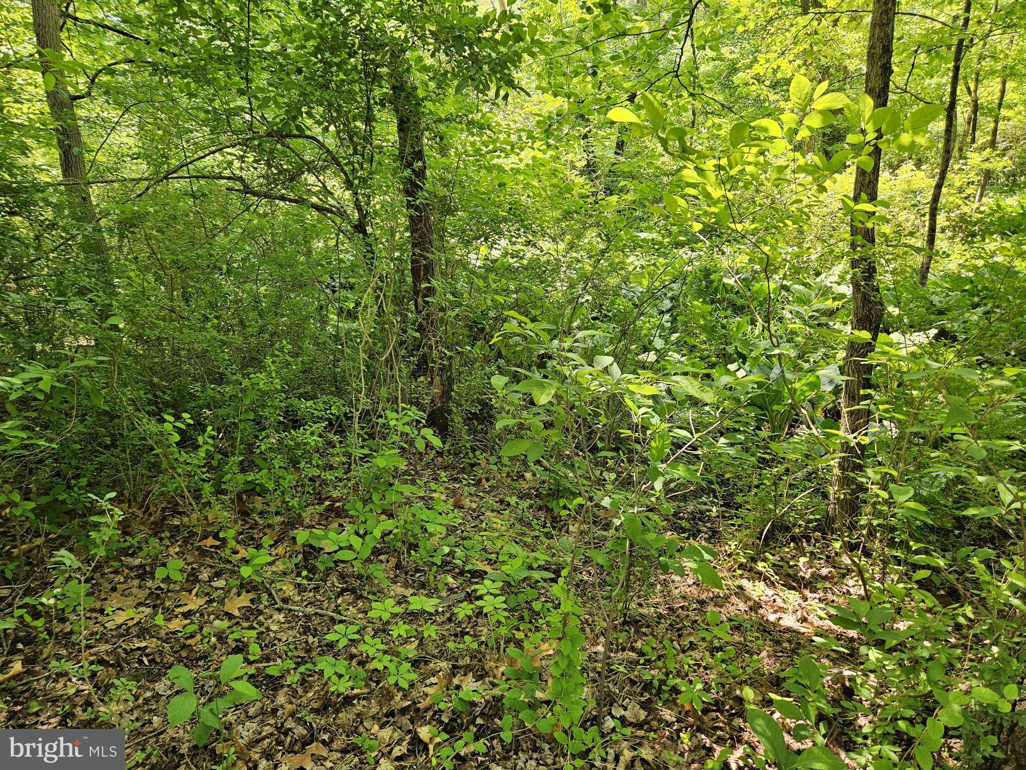 Yardley, PA 19067,0 SANDY RUN