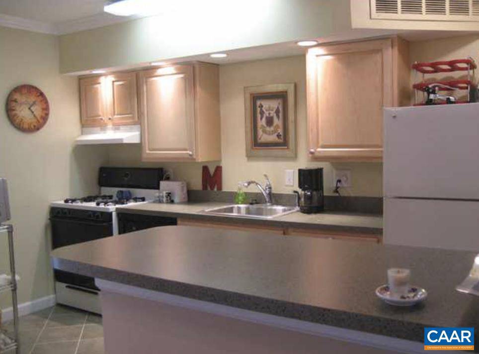Charlottesville, VA 22901,111 HESSIAN HILLS RDG #2