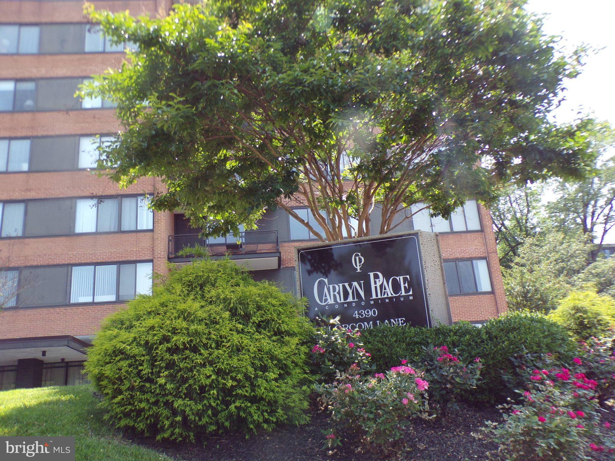 Arlington, VA 22207,4390 LORCOM LN #804