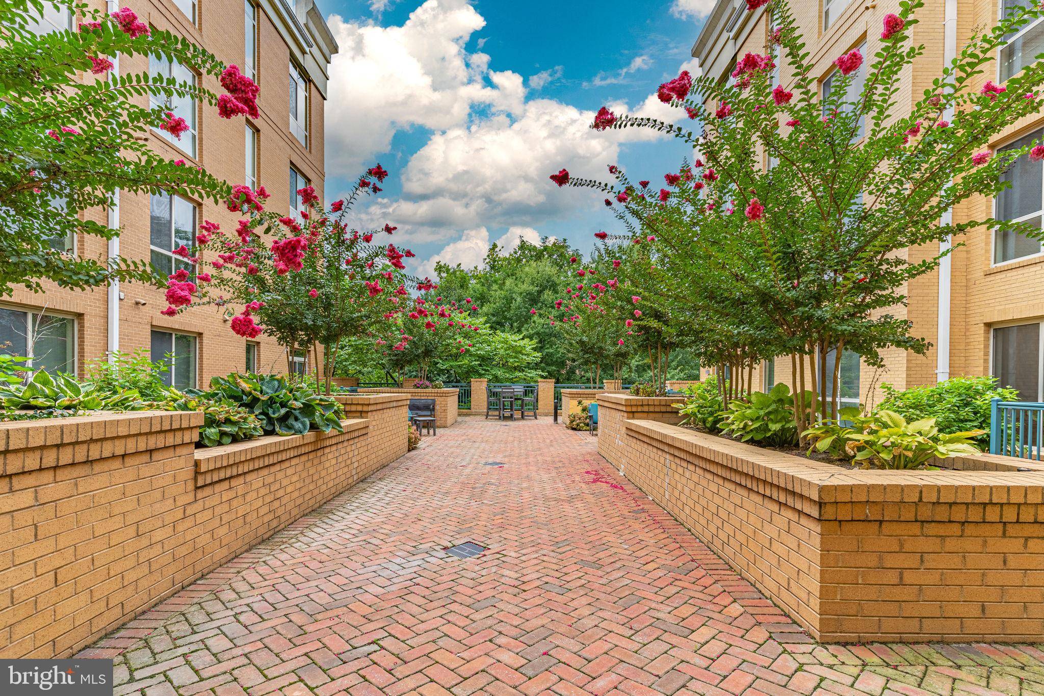 Arlington, VA 22213,2200 N WESTMORELAND ST #229