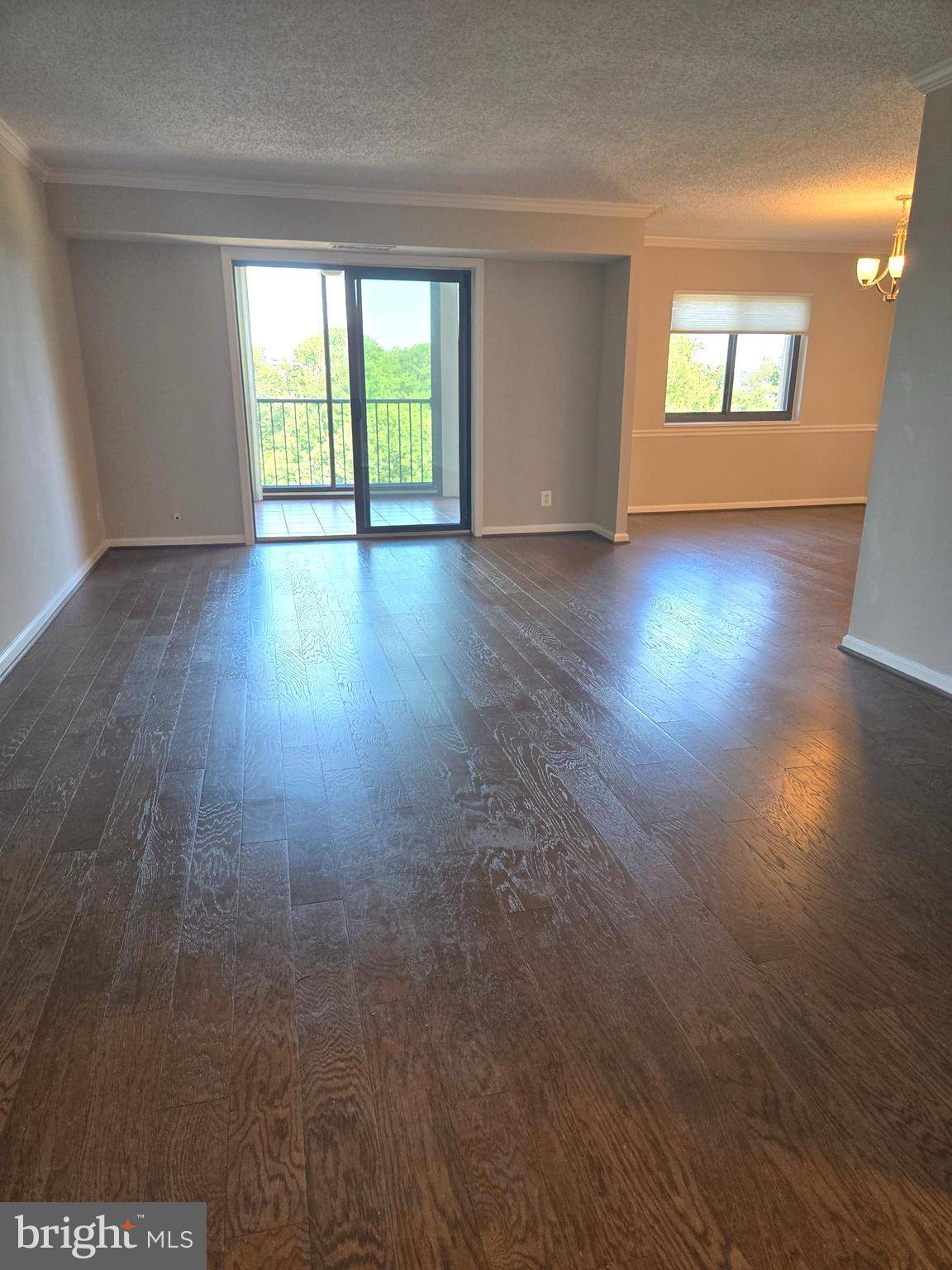 Alexandria, VA 22303,5902 MOUNT EAGLE DR #705