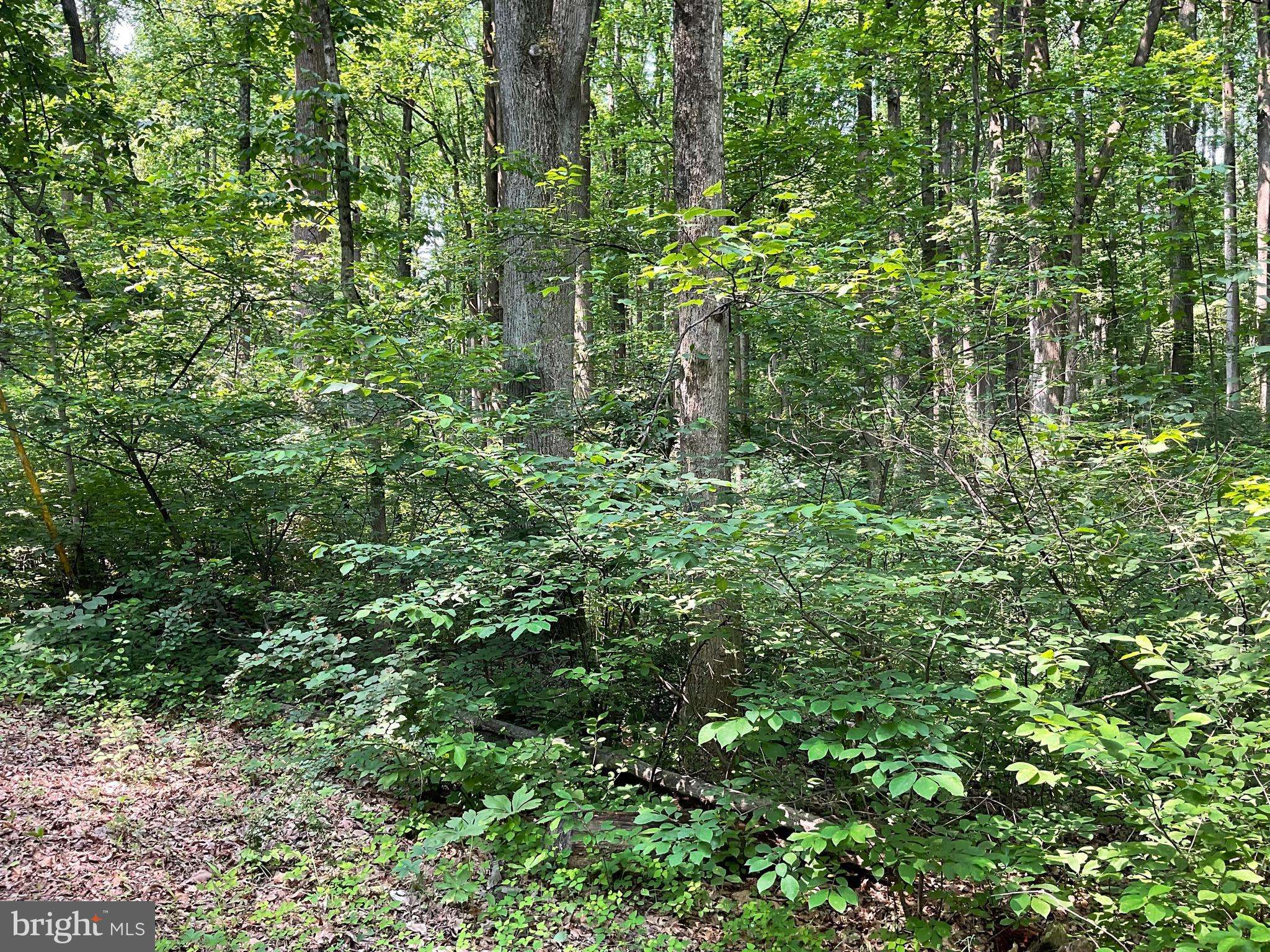 New Windsor, MD 21776,13+/- ACRES BUFFALO RD
