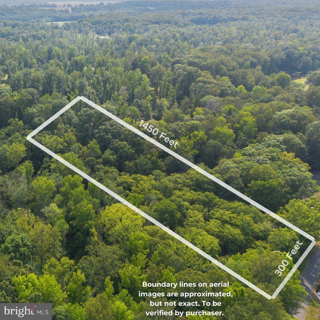 King George, VA 22485,LOT 2 SALEM CHURCH RD