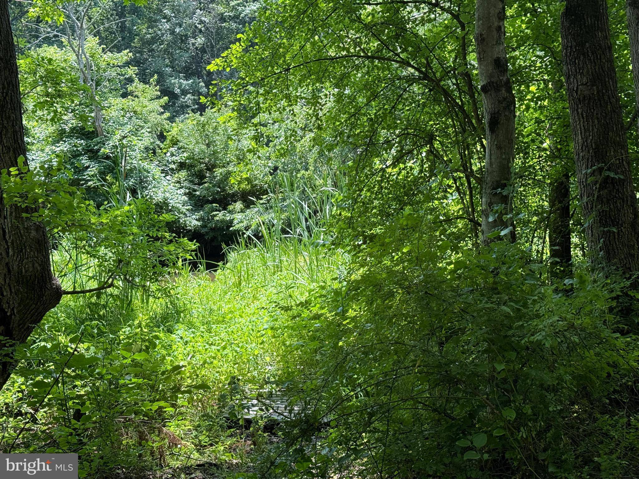 Aberdeen, MD 21001,1533-A MITCHELL LN