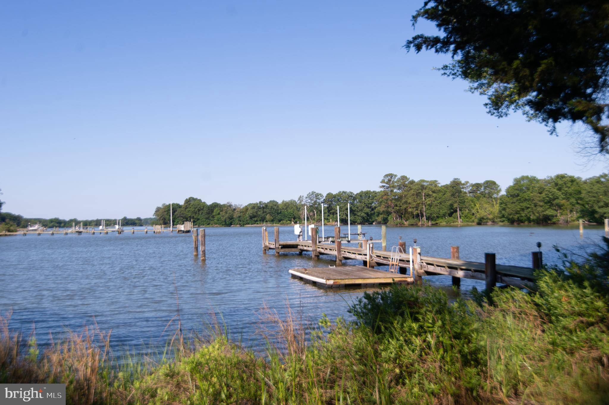 Easton, MD 21601,9796 MILL POINT RD