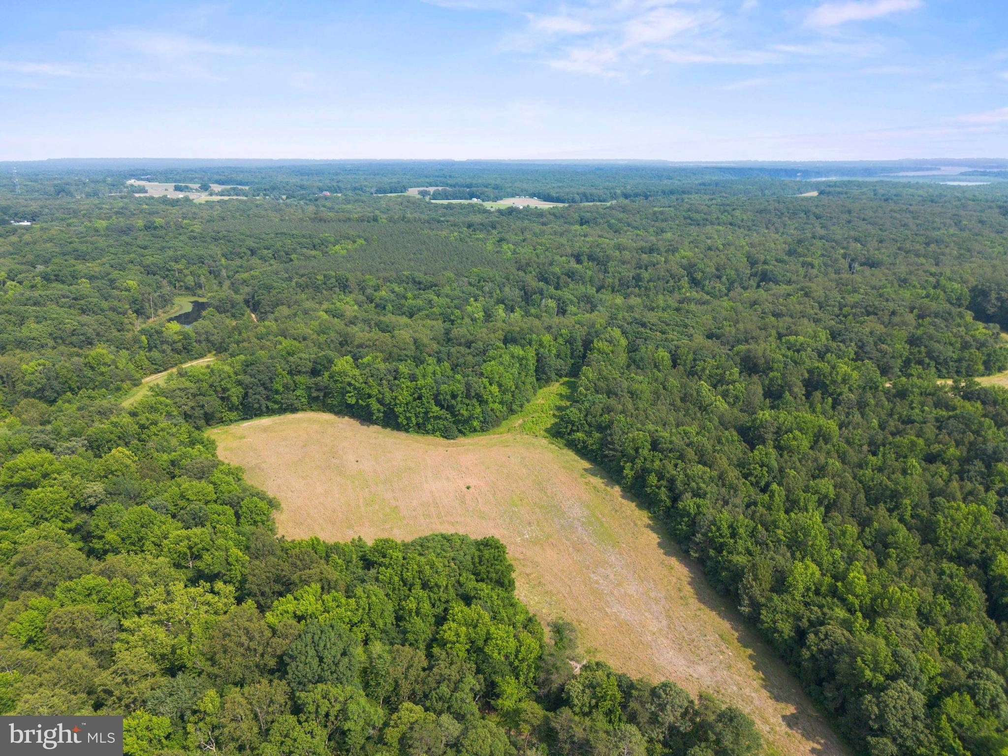 King George, VA 22485,LOT 17 SALEM CHURCH RD