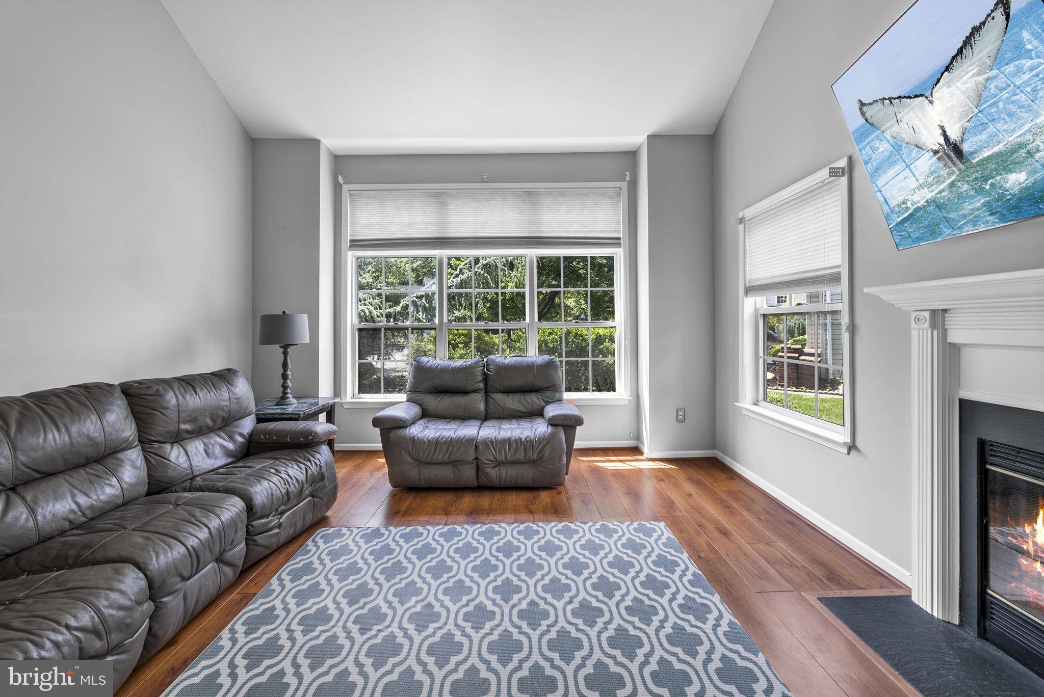 Cranbury, NJ 08512,41 HAYMARKET CT