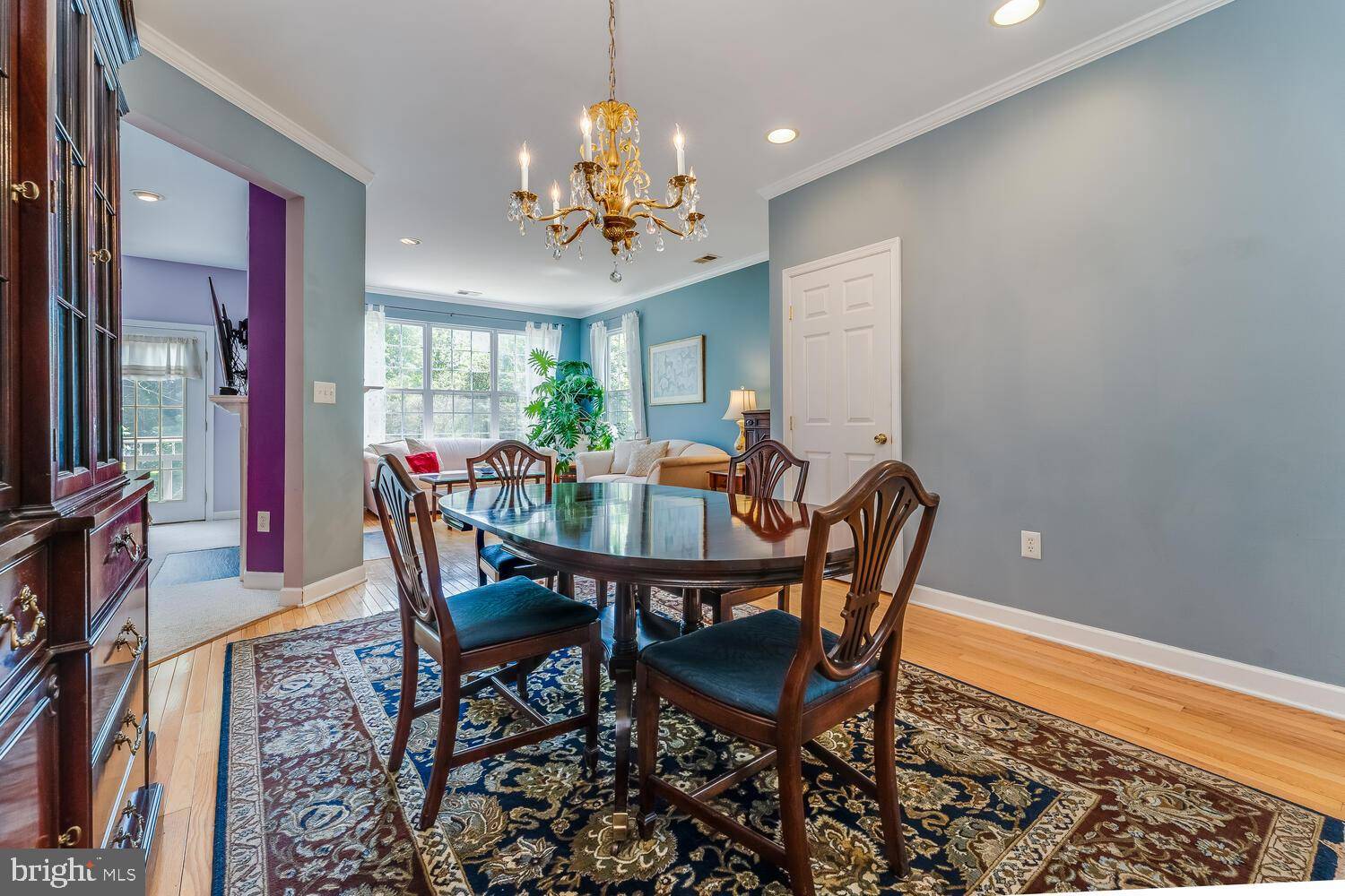 Flemington, NJ 08822,17 PADDOCK LN