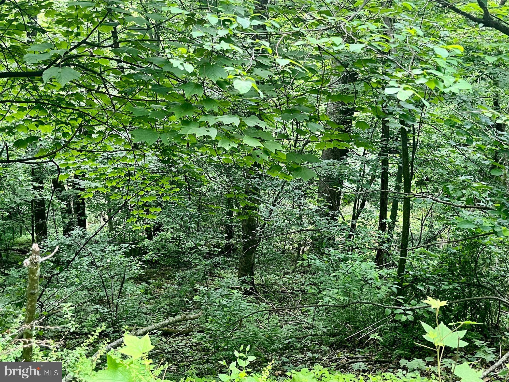 Luray, VA 22835,GREENWAY LANE