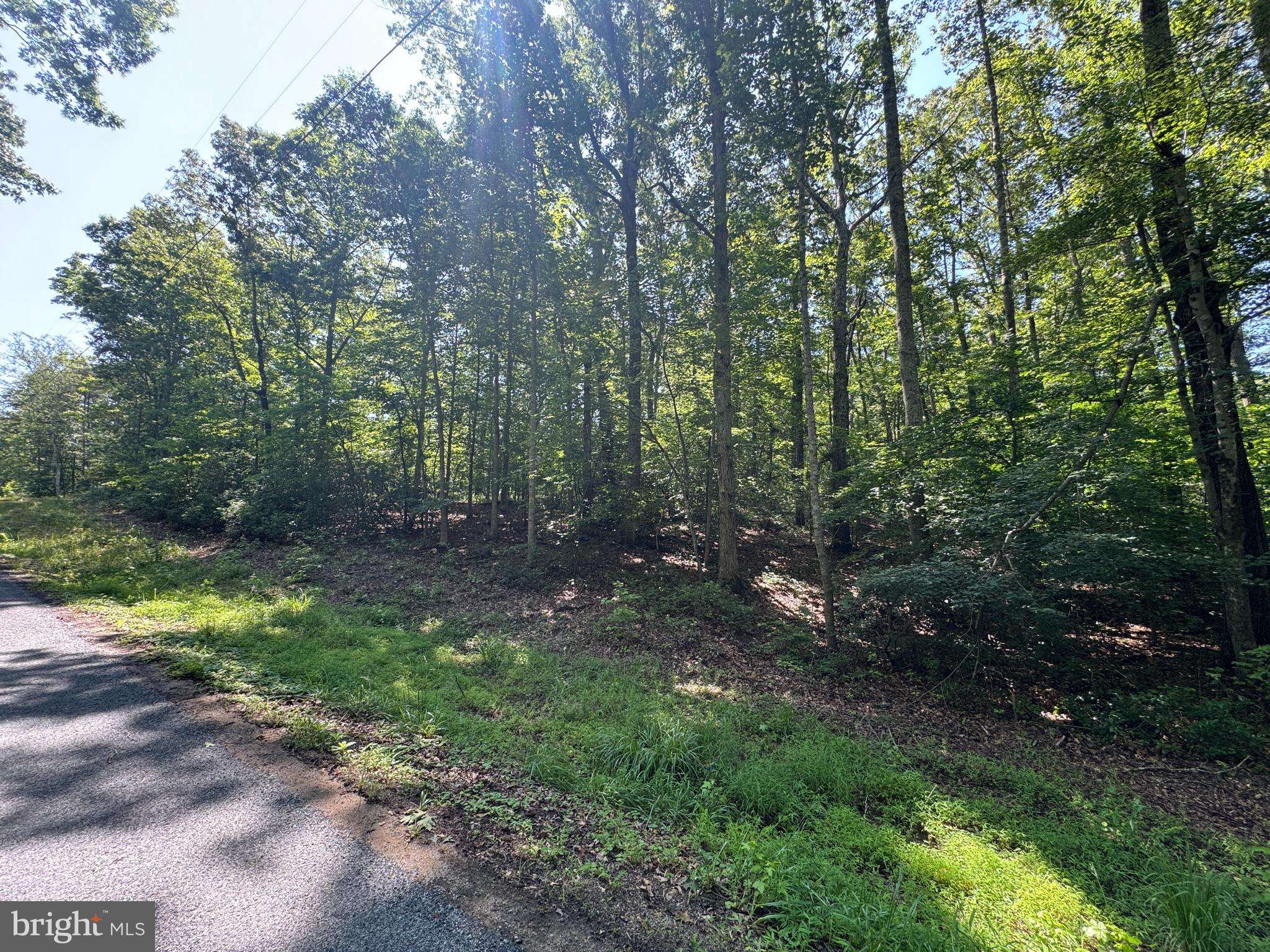 Spotsylvania, VA 22553,9609 PEPPERTREE RD