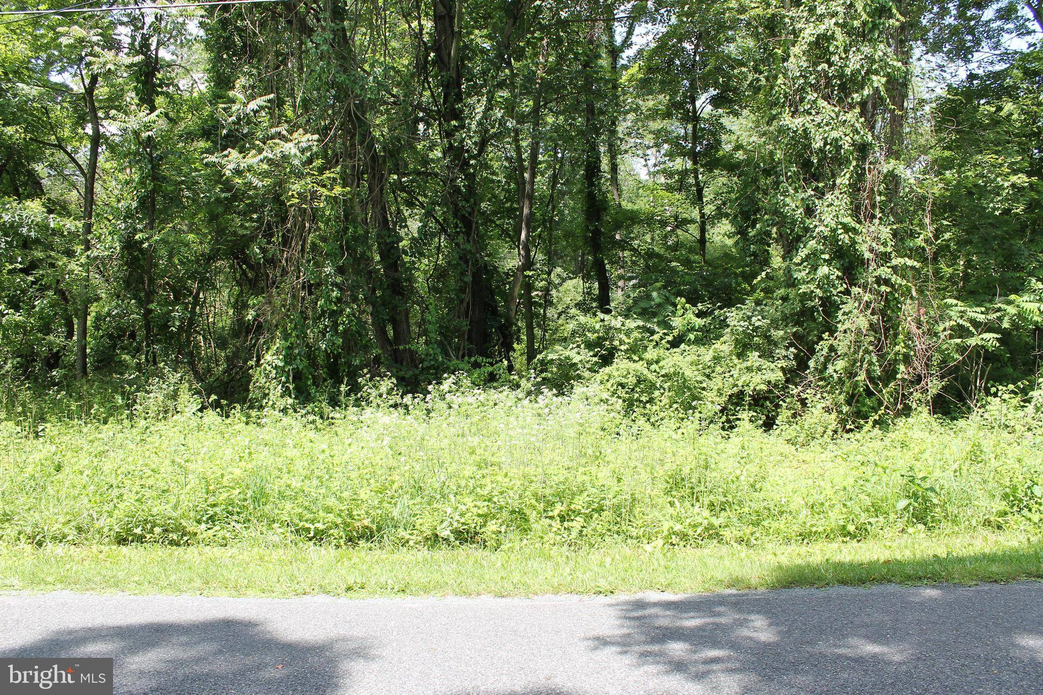 Fairfield, PA 17320,5 MAIN TRL