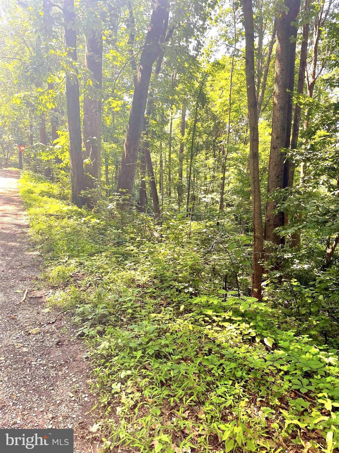 Front Royal, VA 22630,WALNUT TREE CT. RD #LOT 9, BLOCK F