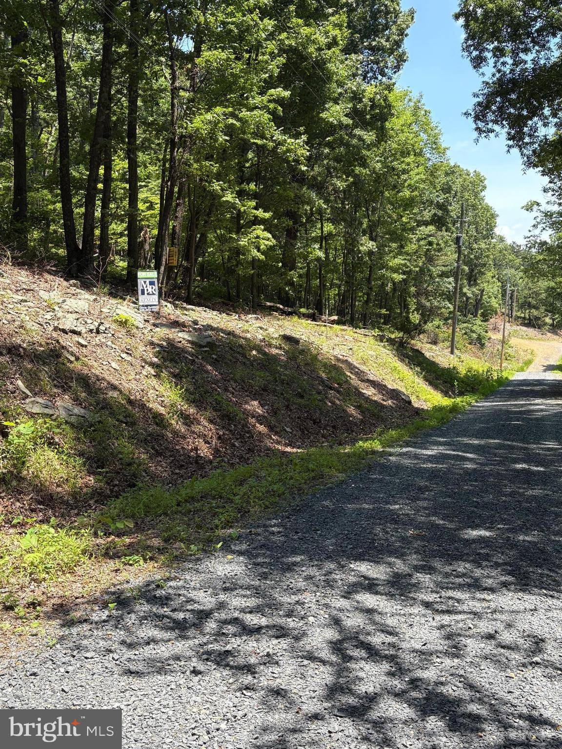 Winchester, VA 22602,LOT 85 MIMOSA