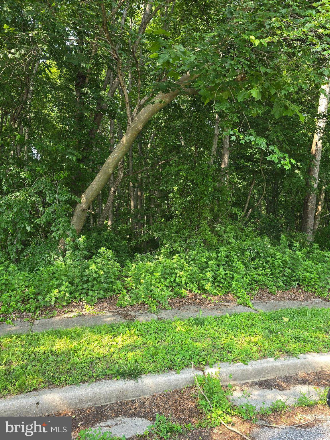 Pennsville, NJ 08070,6 E EAST ACKLEY TERR
