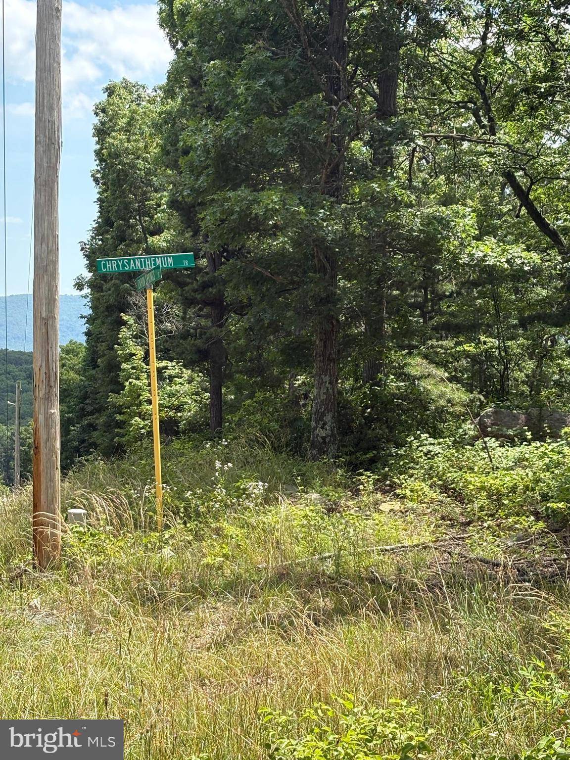 Star Tannery, VA 22654,LOT 57 CHRYSANTHEMUM TRAIL