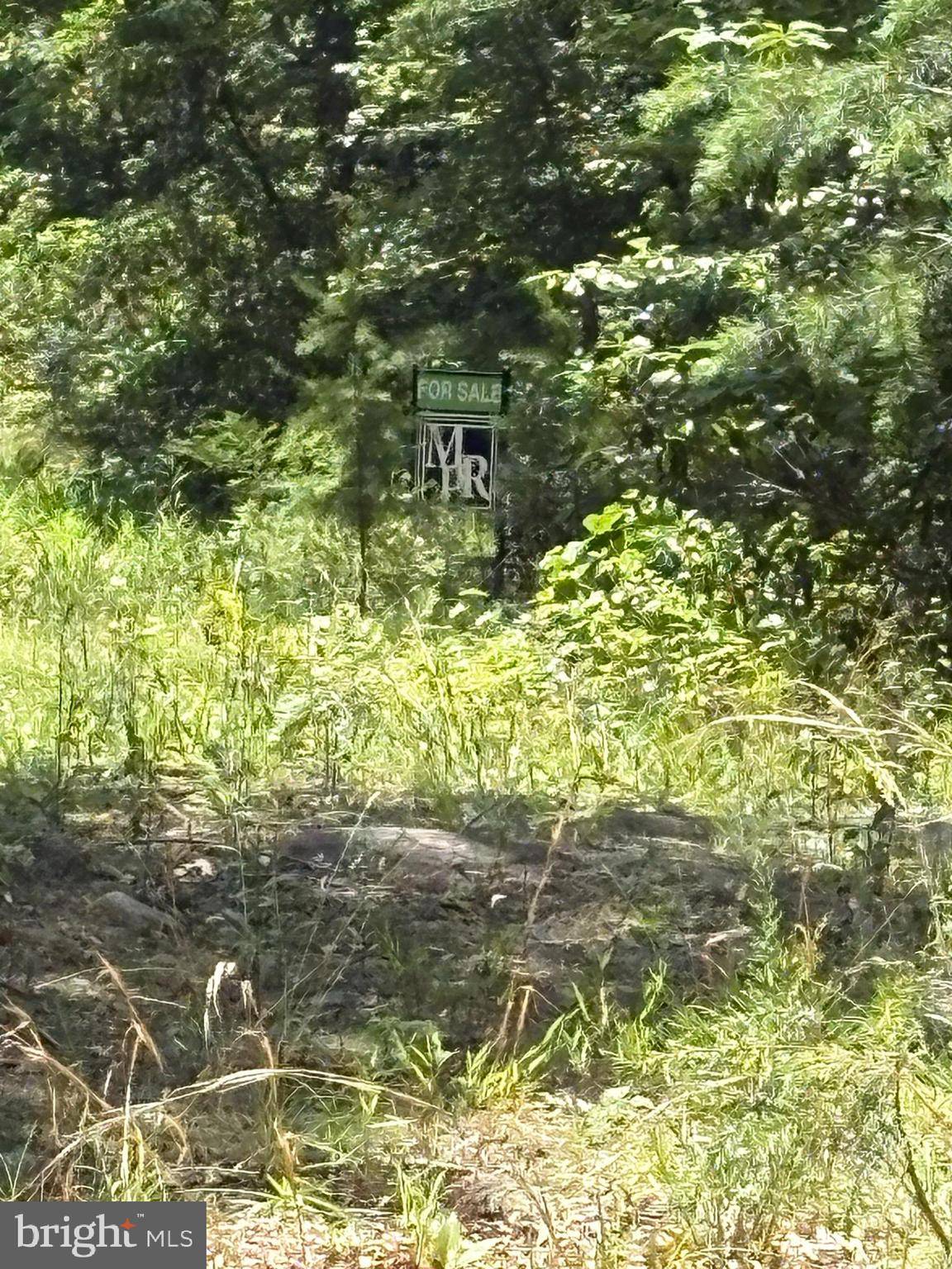 Star Tannery, VA 22654,LOT 57 CHRYSANTHEMUM TRAIL