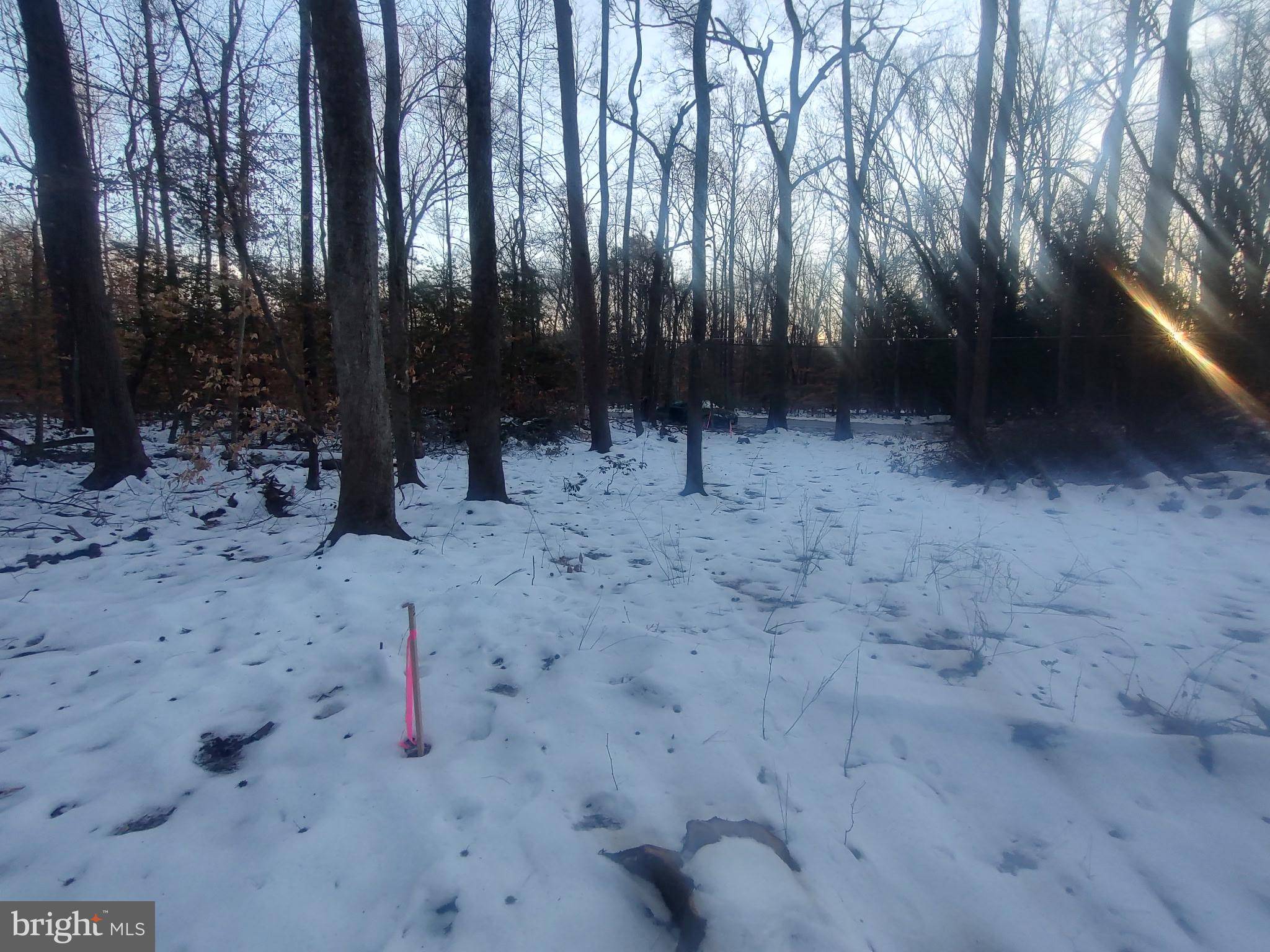 Lorton, VA 22079,GUNSTON RD