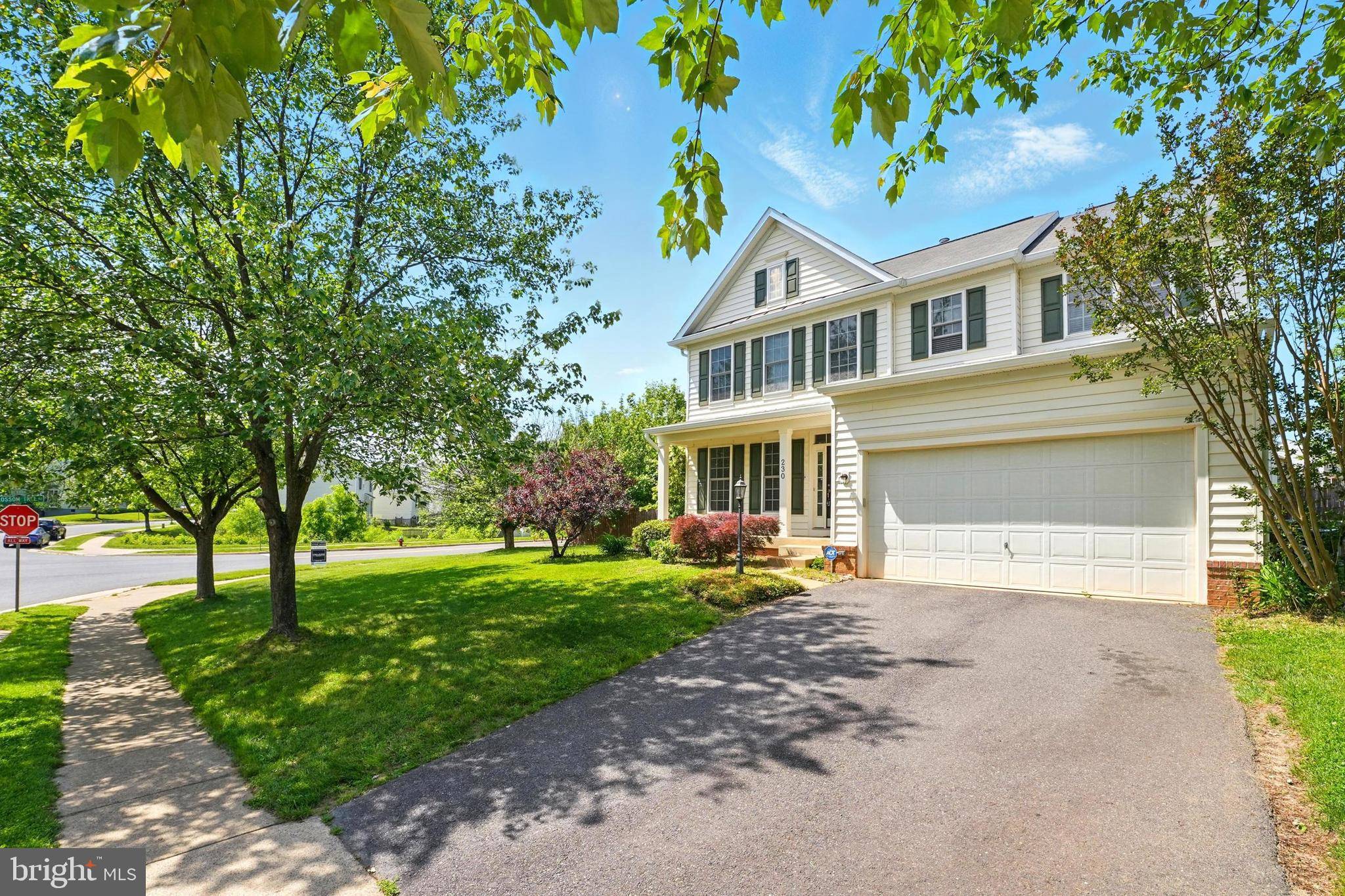 Culpeper, VA 22701,230 WHITWORTH DR