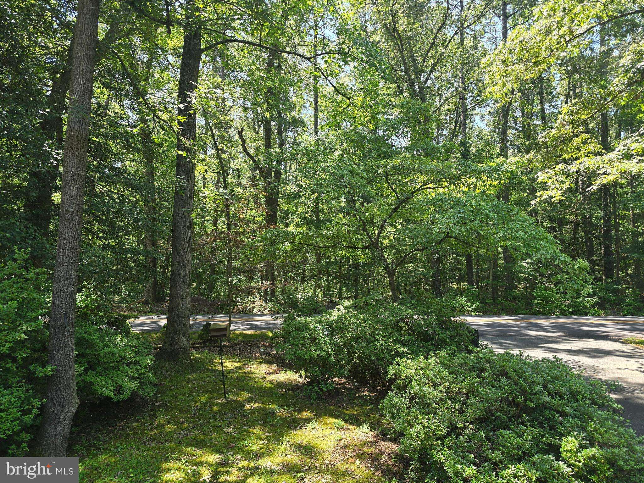 Laurel, DE 19956,15729 GOOSE NEST RD