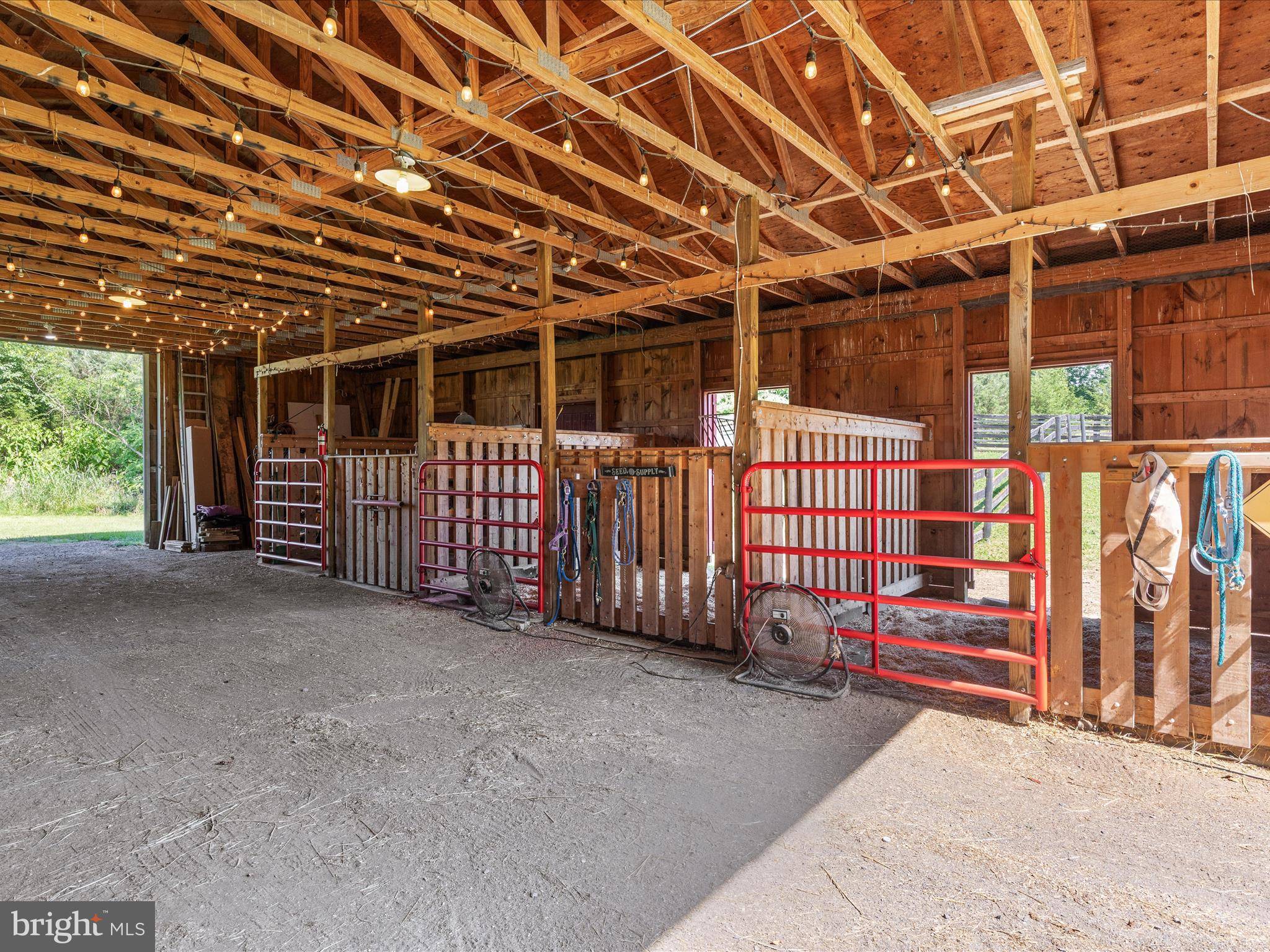 Strasburg, VA 22657,1919 CLARY RD