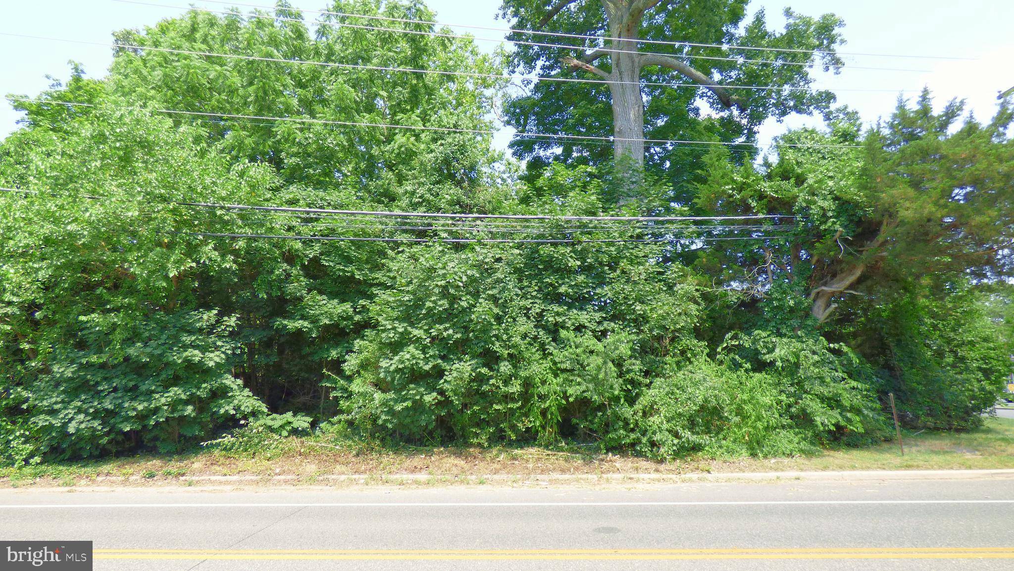 Berlin, NJ 08009,85 TANSBORO RD