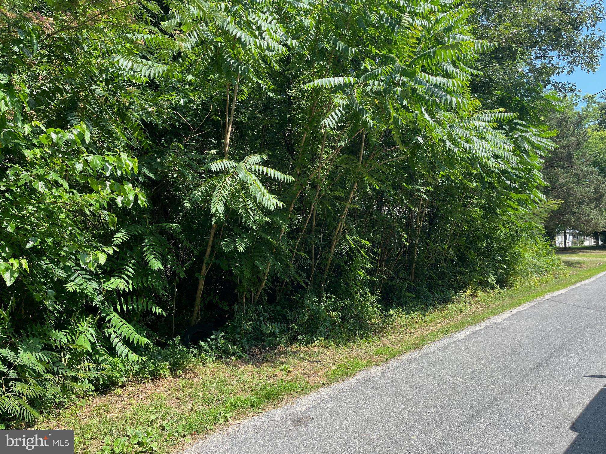 Colonial Beach, VA 22443,0 FOREST GROVE