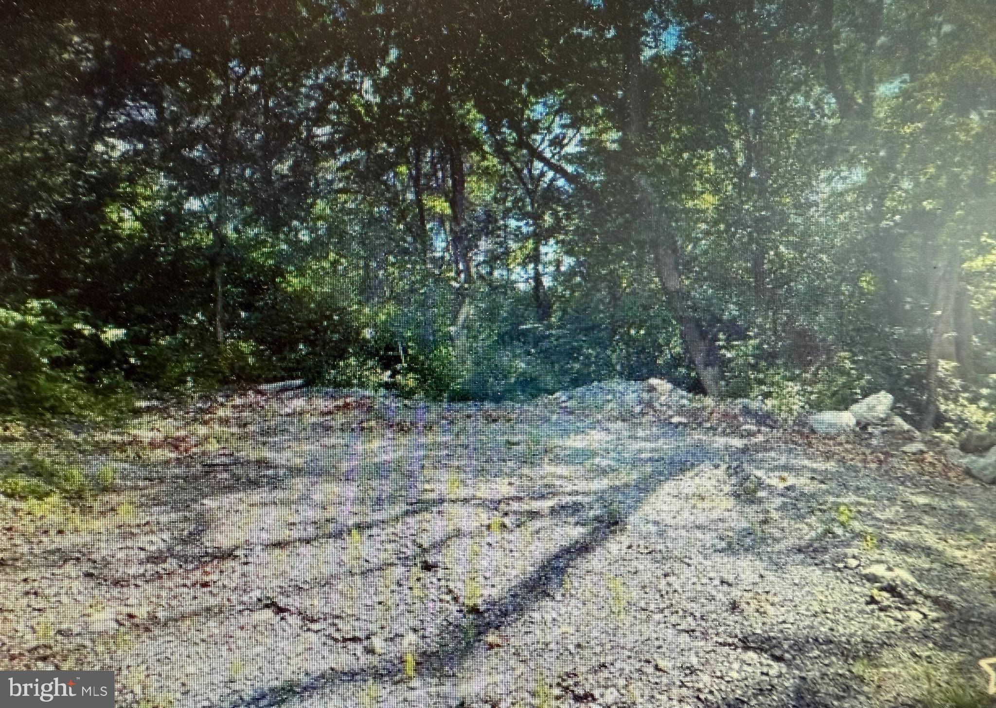 Front Royal, VA 22630