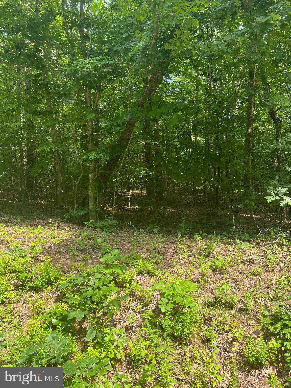 Locust Dale, VA 22948,0 MEANDER RUN ROAD