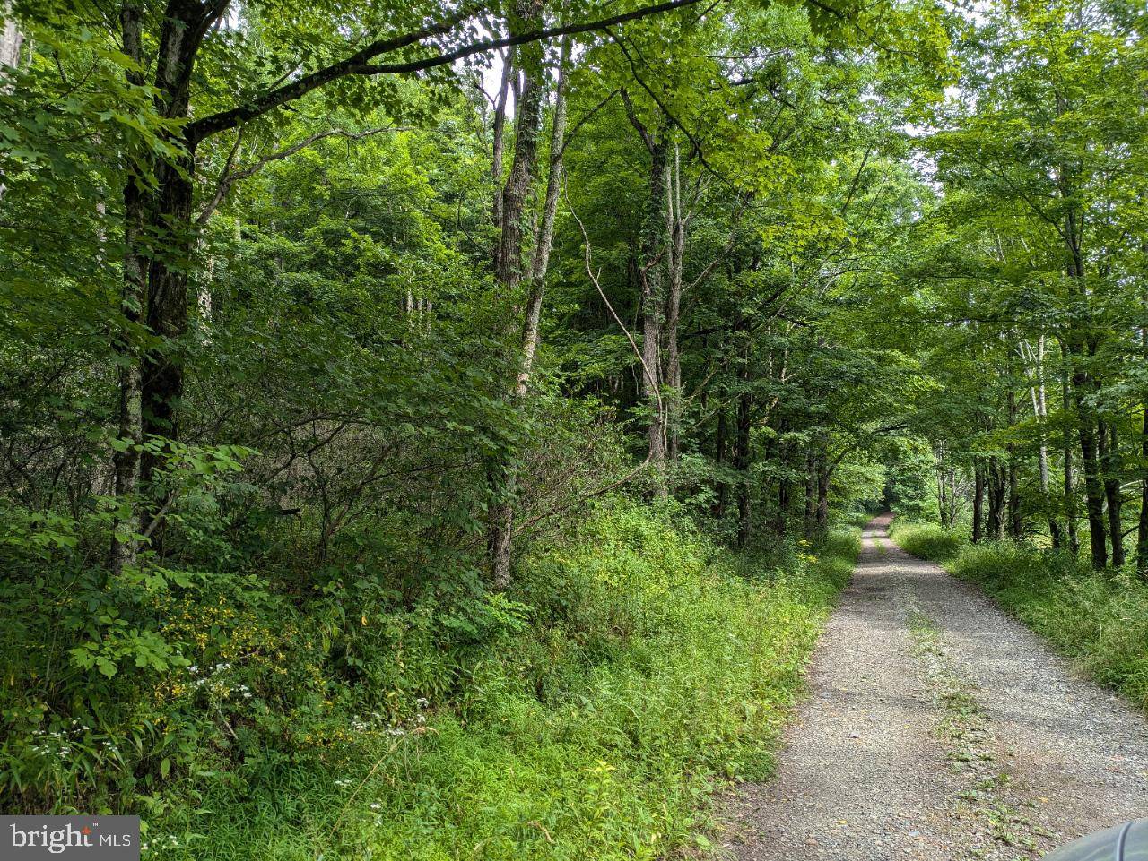 Alum Bank, PA 15521,0 BERKEY HOLLOW RD