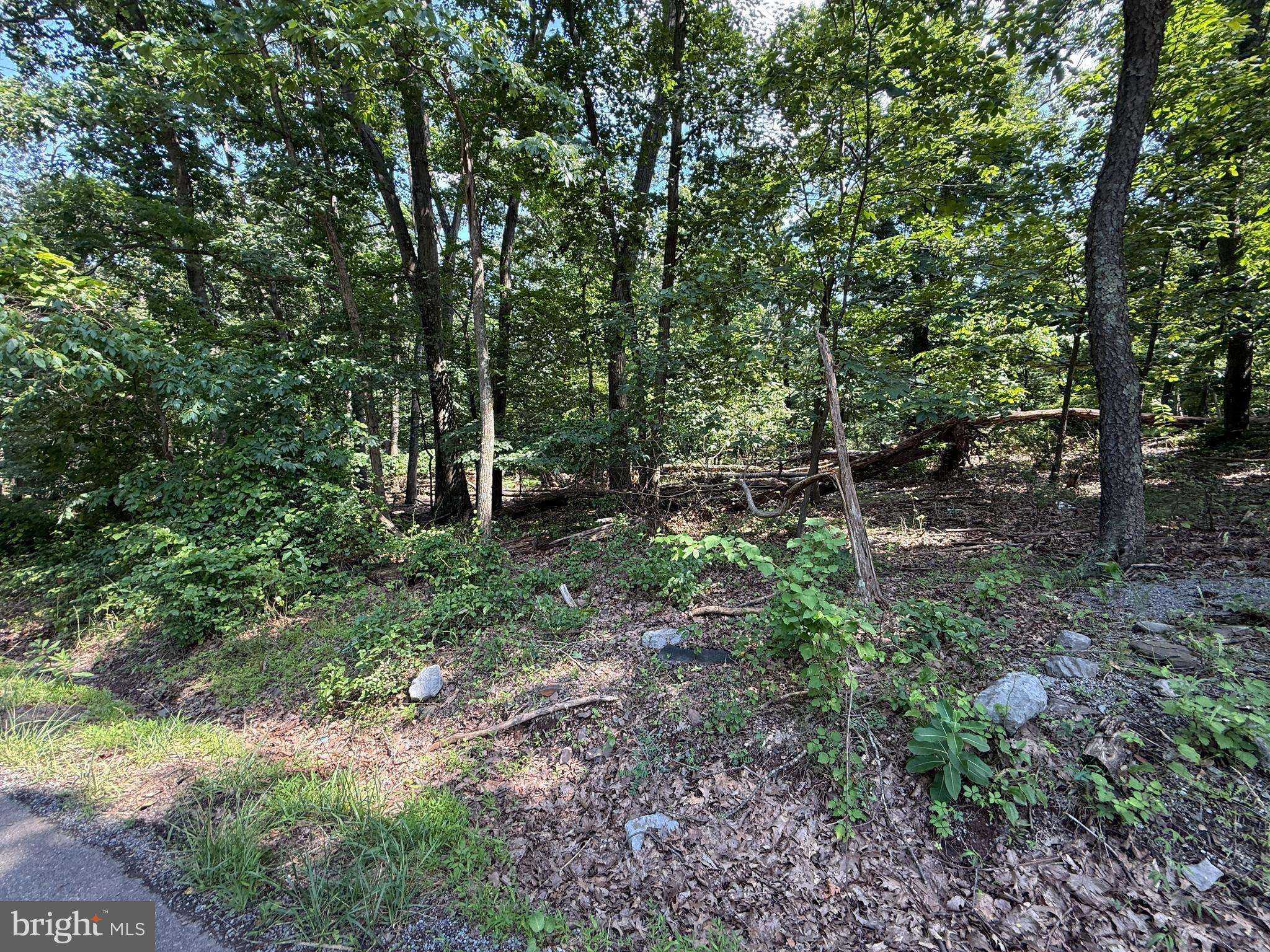 Hedgesville, WV 25427,LOT 33 AUDUBON ROAD