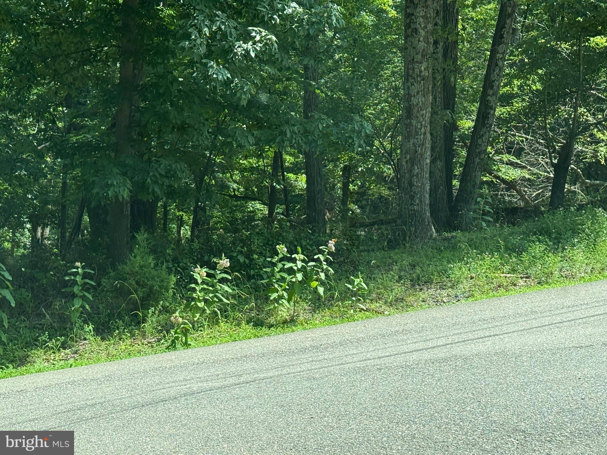 Hedgesville, WV 25427,LOT 33 AUDUBON ROAD