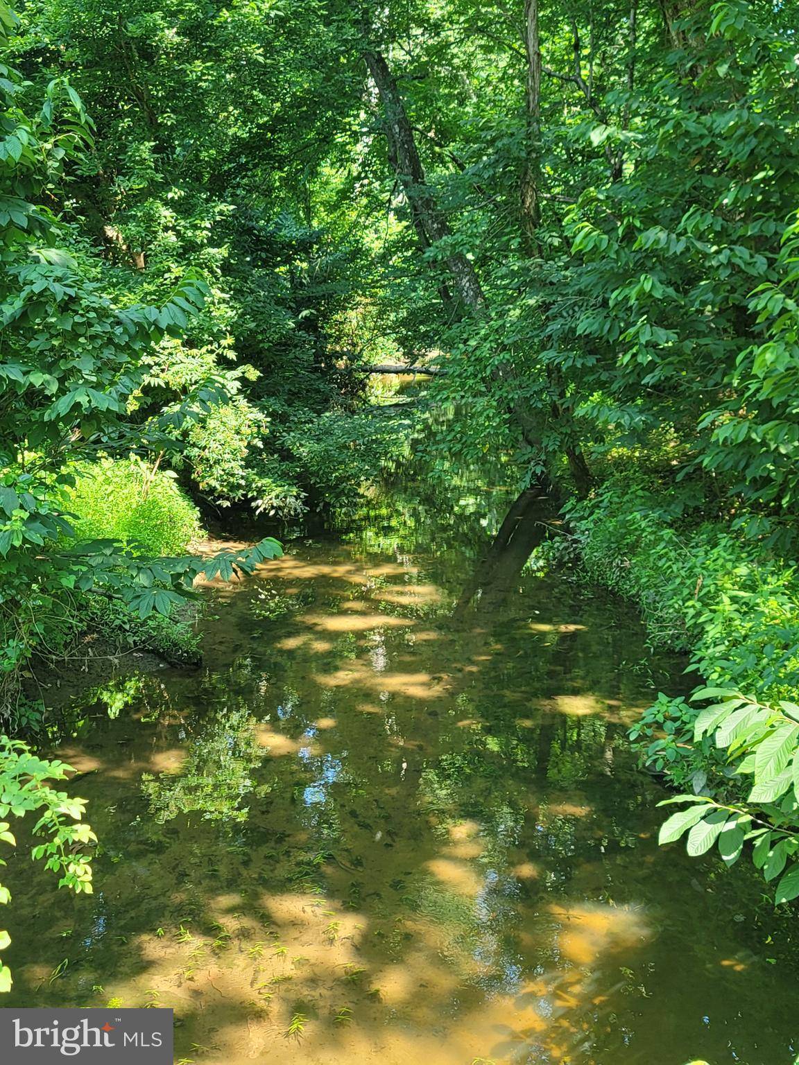 Queenstown, MD 21658,ARRINGTON RD