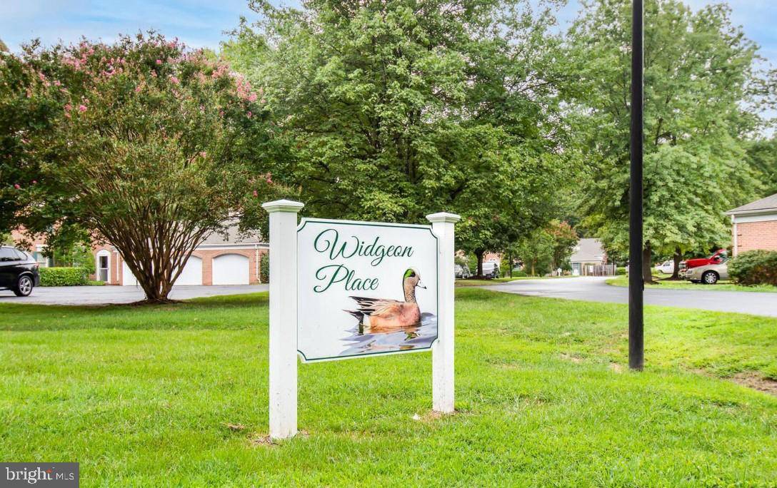 Saint Michaels, MD 21663,24362 WIDGEON #4