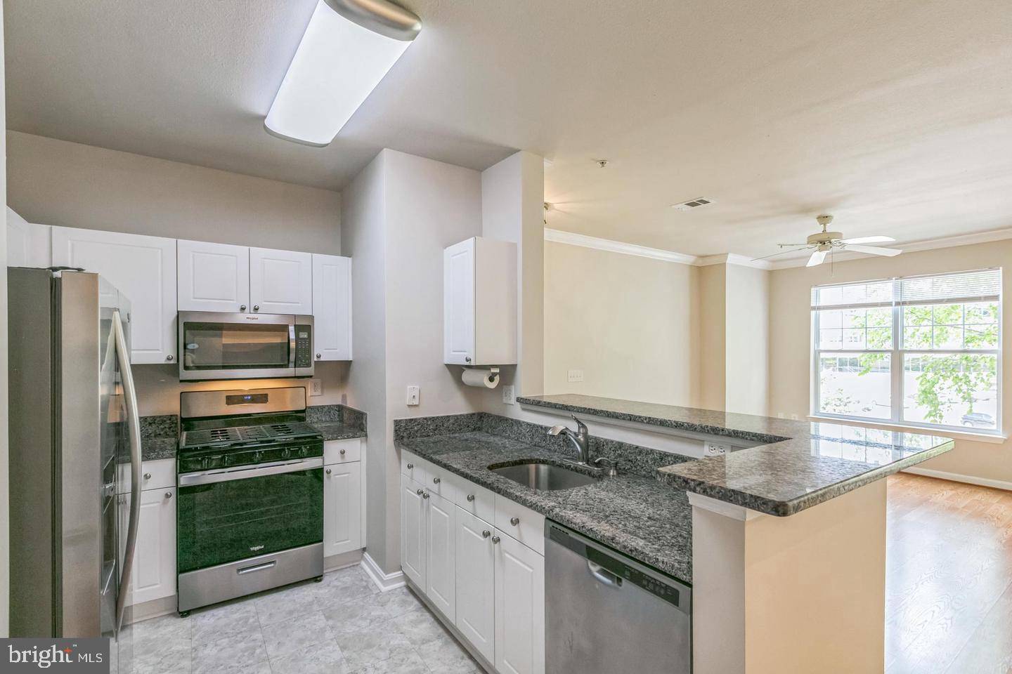 Fairfax, VA 22030,11377 ARISTOTLE DR #10-303