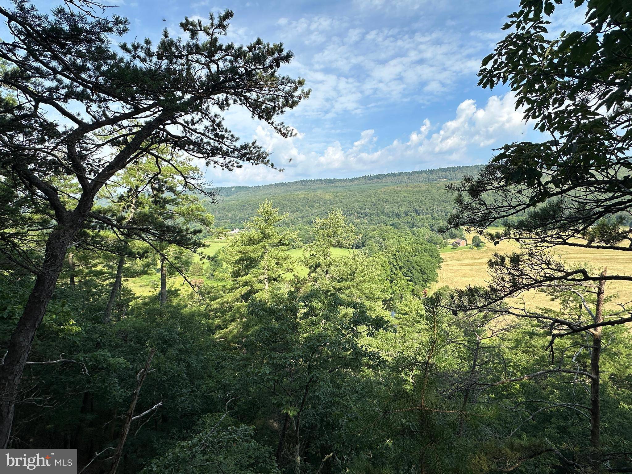 Yellow Spring, WV 26865,79 ACRES ON CACAPON RIVER