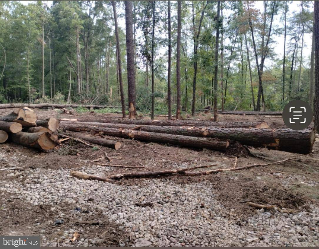 Newburg, MD 20664,WICOMICO BEACH RD