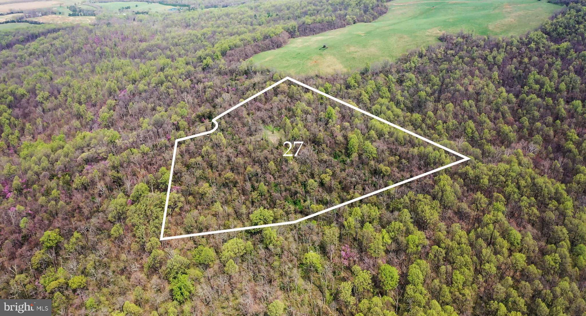 Rapidan, VA 22733,Address not disclosed
